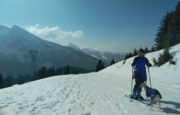 image of a young skier and her dog on the pistes